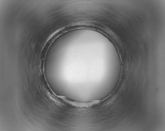 X0000080770830200701051259