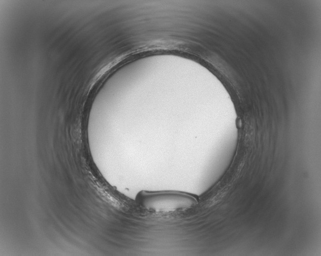 X0000080770834200701051300