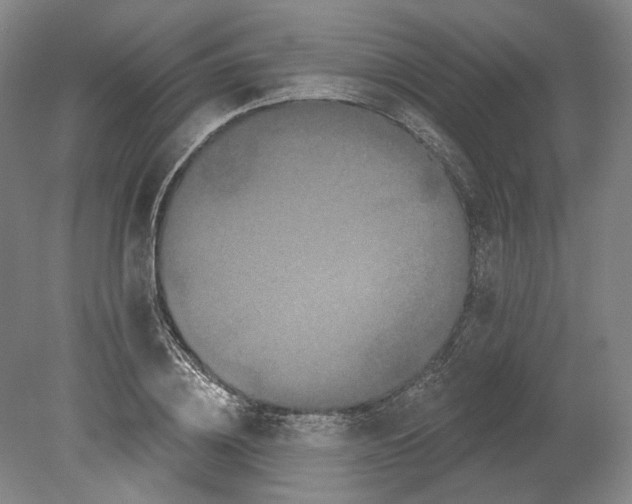 X0000080770836200701051300