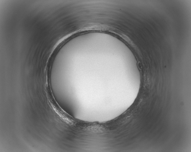 X0000080770838200701051300