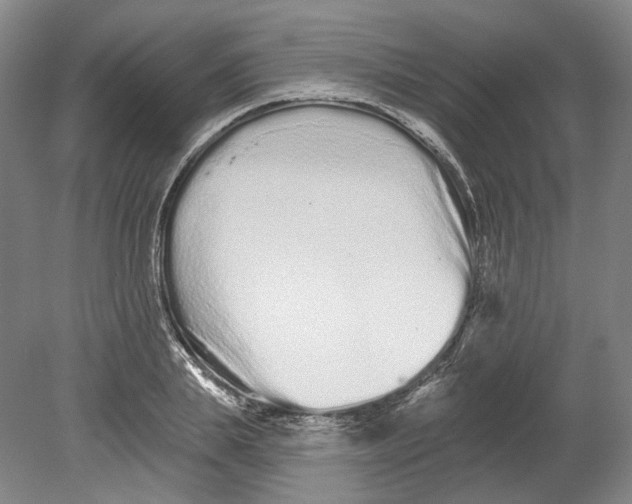 X0000080770839200701051300