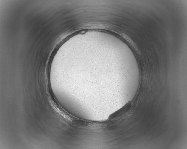 X0000080770840200701051300