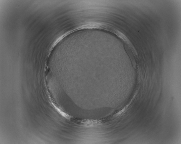 X0000080770842200701051300