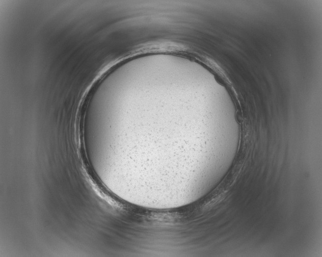 X0000080770843200701051300