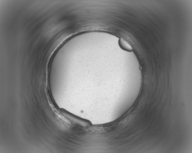 X0000080770844200701051300