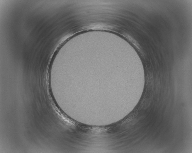 X0000080770848200701051300