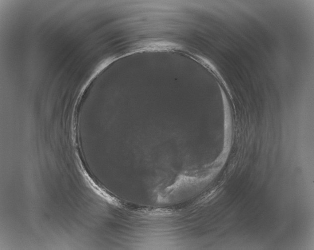 X0000080770851200701051300