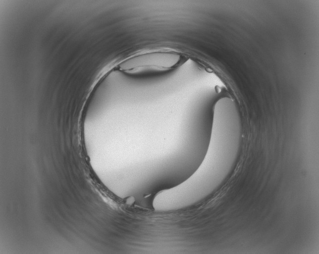 X0000080770858200701051300