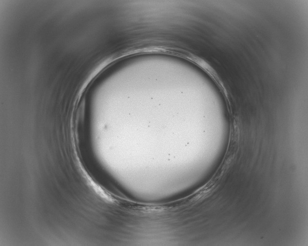 X0000080770859200701051300