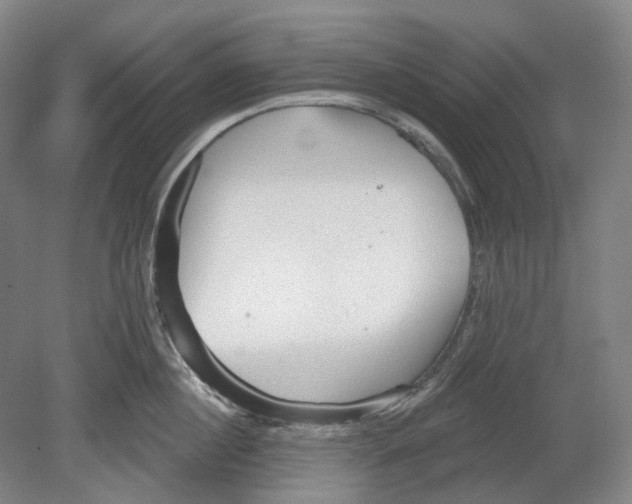 X0000080770860200701051300