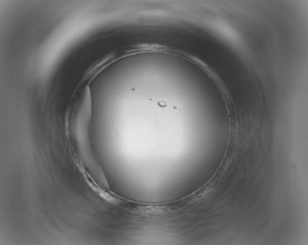 X0000080770862200701051300