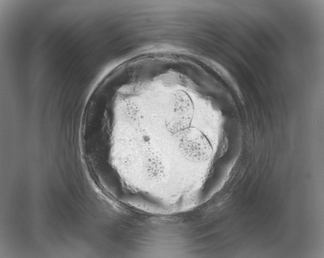 X0000080770863200701051300