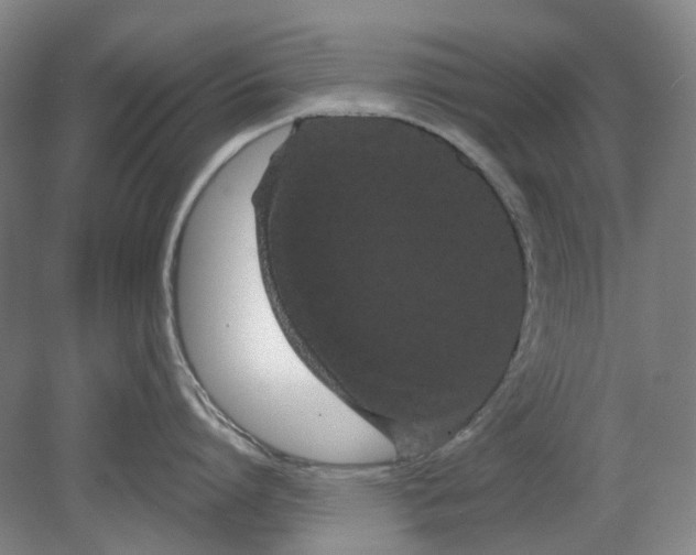 X0000080770864200701051300