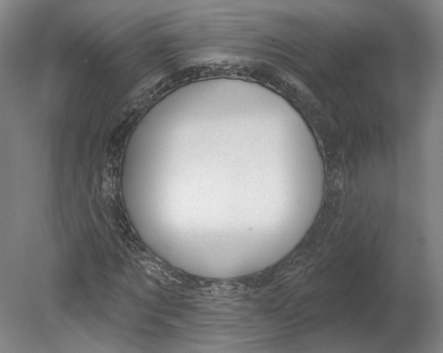 X0000080770869200701051259