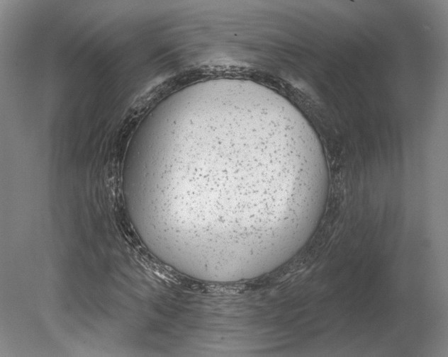 X0000080770870200701051259