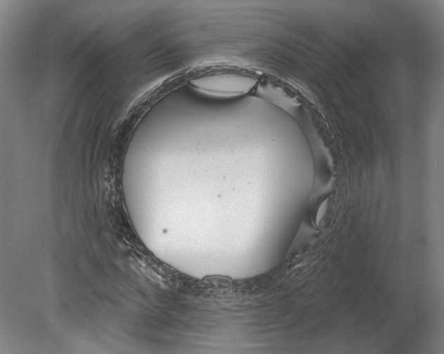 X0000080770872200701051259