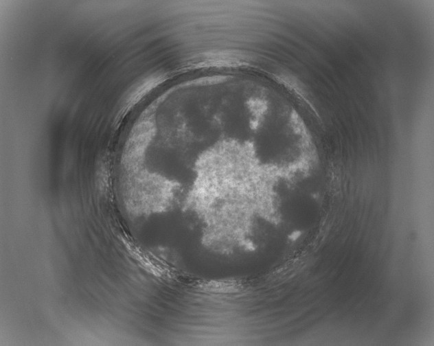 X0000080770874200701051259