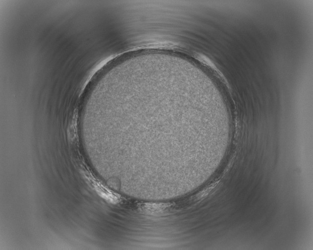 X0000080770875200701051259