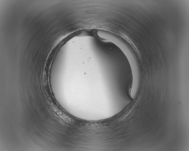 X0000080770876200701051259