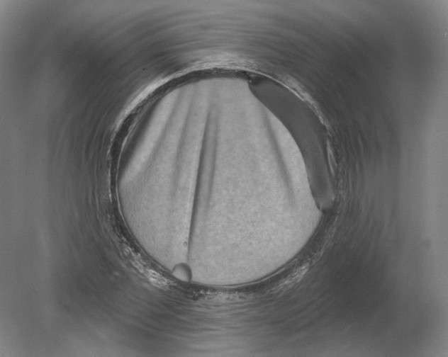 X0000080770877200701051259