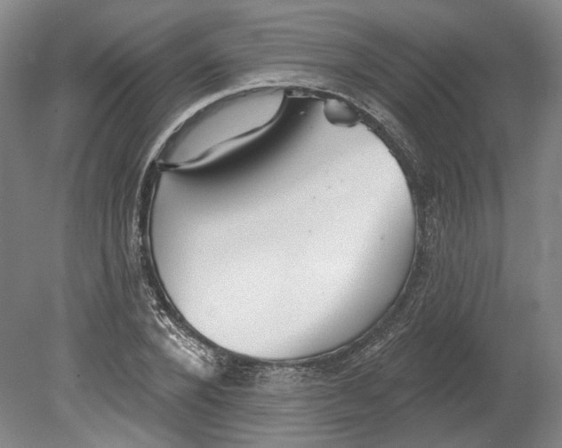 X0000080770880200701051259