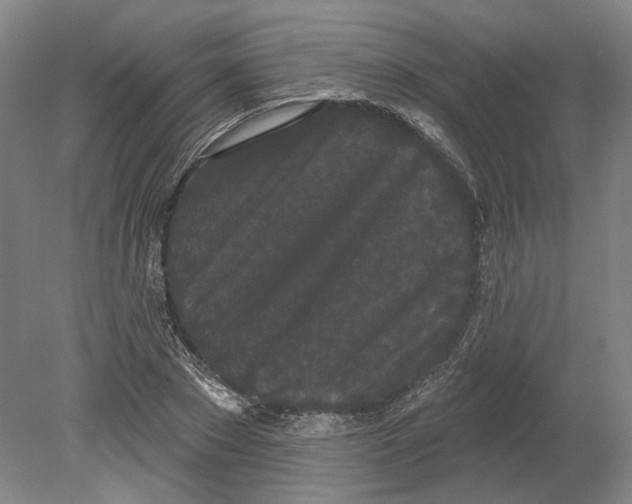 X0000080770881200701051259