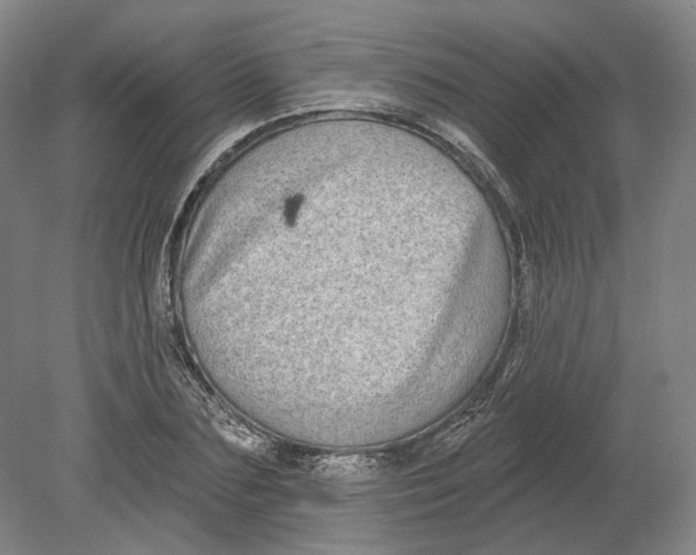 X0000080770883200701051259