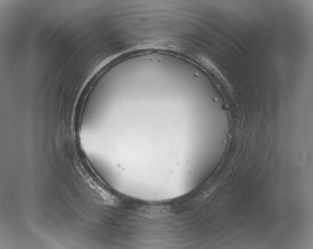 X0000080770884200701051259