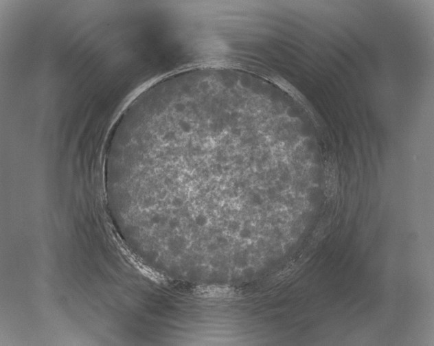 X0000080770886200701051259