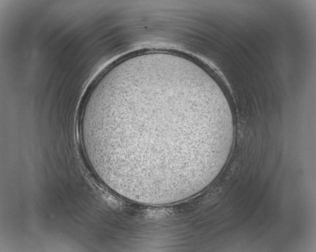 X0000080770887200701051259