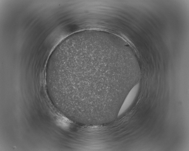 X0000080770891200701051259