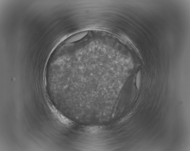 X0000080770892200701051259