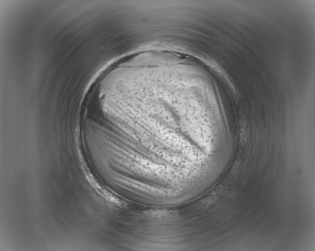 X0000080770896200701051259