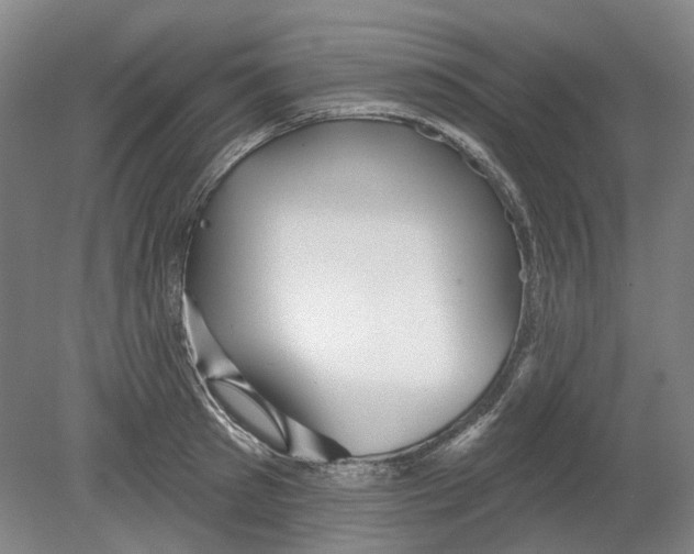 X0000080770897200701051259