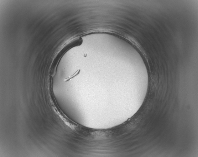 X0000080770898200701051259