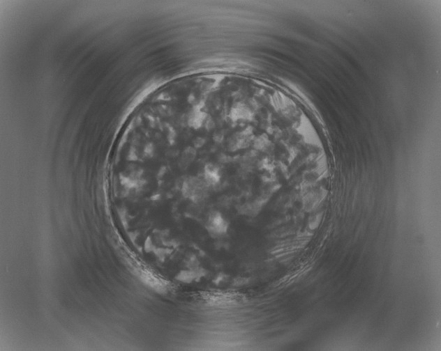 X0000080770899200701051259