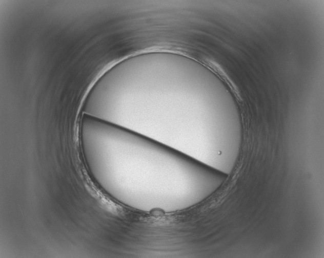 X0000080770900200701051259