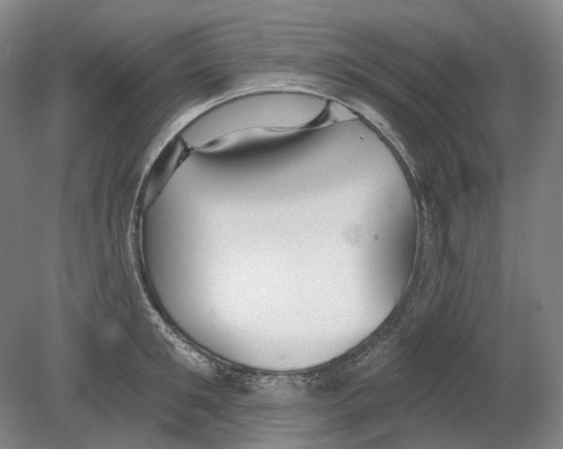 X0000080770901200701051259