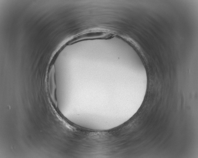 X0000080770902200701051259