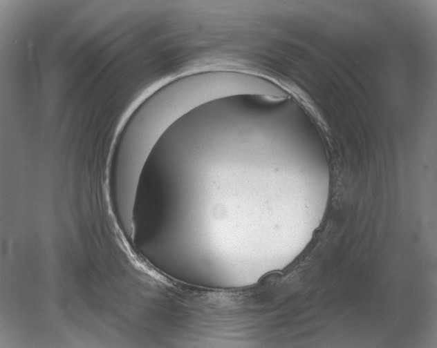 X0000080770904200701051259