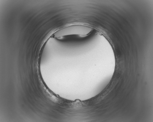 X0000080770906200701051259