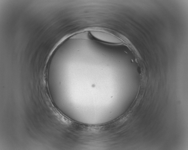 X0000080770908200701051258