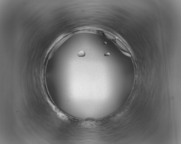 X0000080770909200701051258