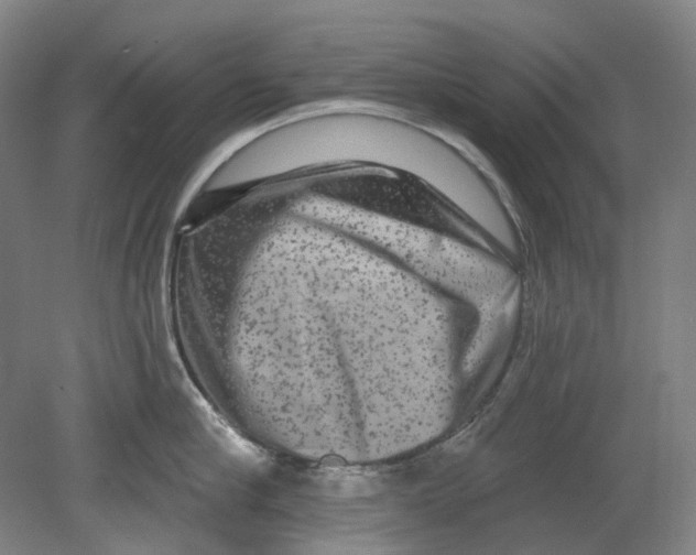 X0000080770910200701051258