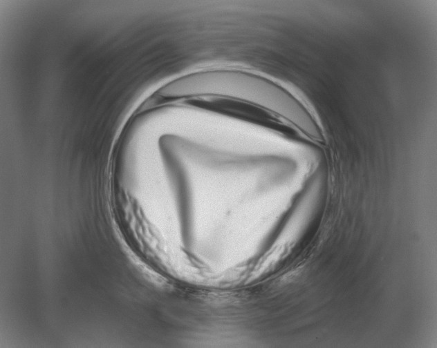 X0000080770911200701051258