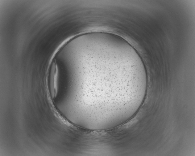 X0000080770912200701051258