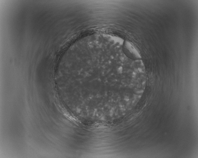 X0000080770913200701051258