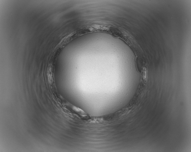 X0000080770915200701051258