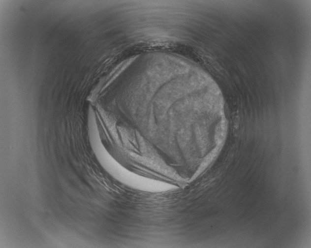 X0000080770916200701051258