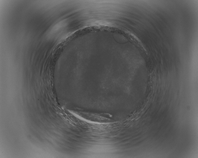 X0000080770919200701051258